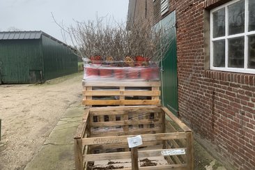 IMG 111945326731