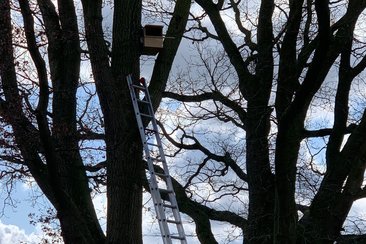 IMG 111945328913