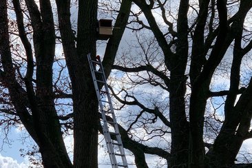 IMG 111945329007