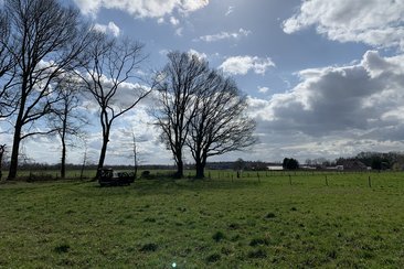 IMG 111945329116