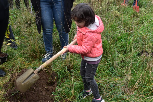 Plantdag 18 nov door Henk Moeniralam (12)